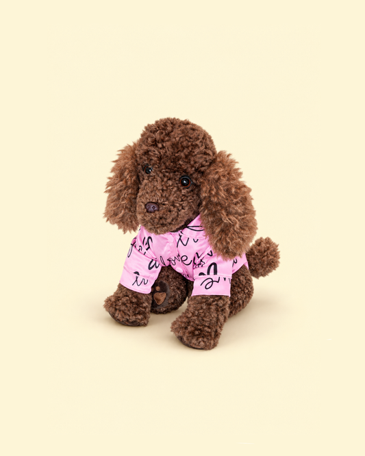 Sweet Dreams Pink Satin Pyjamas