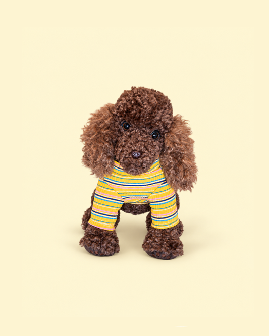 Sunny Stripes T-Shirt