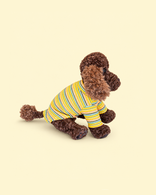 Comfort Me Raffy wears a striped yellow t shirt
