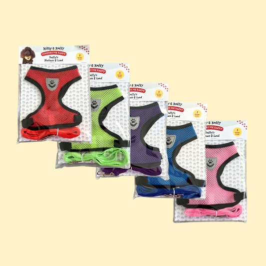 Five packaged pet harnesses and matching leashes arranged in a staggered layout on a pale yellow background. The harnesses come in red, lime green, purple, and pink, with black mesh trim and black collars.