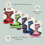 Five packaged mesh dog harnesses in different colors (red, lime green, purple, and pink) arranged on a light sage green background with promotional text and icons.