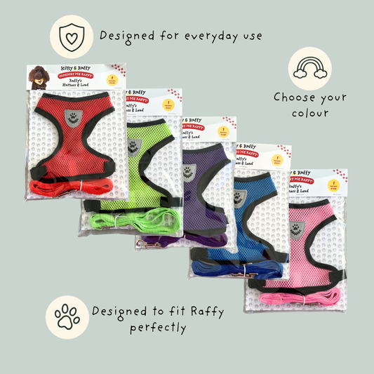 Five packaged mesh dog harnesses in different colors (red, lime green, purple, and pink) arranged on a light sage green background with promotional text and icons.