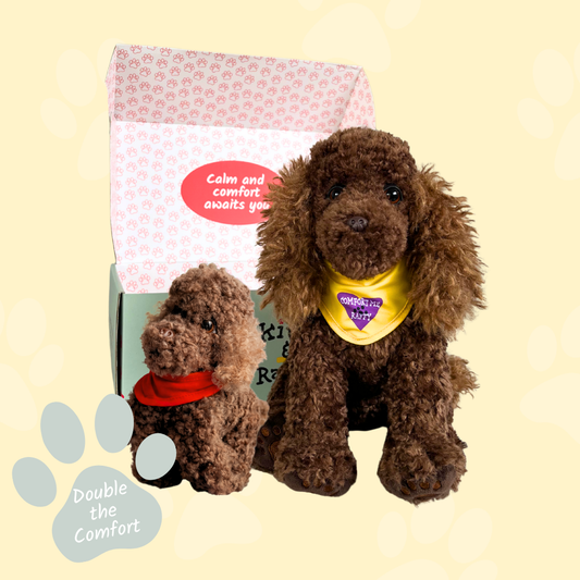 The Raffy Bundle. 🧣FREE Pack of 4 Bandanas