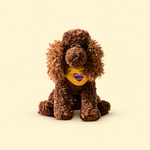 A brown curly-haired plush dog toy wearing a yellow bandana with a purple heart-shaped patch photographed against a solid pale cream background.
