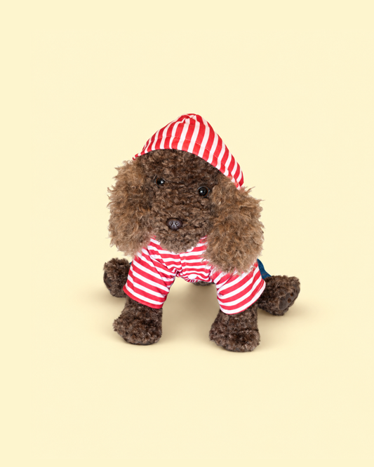 Little Explorer Overalls & Striped Top