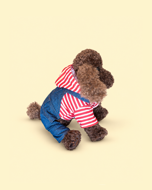 Little Explorer Overalls & Striped Top