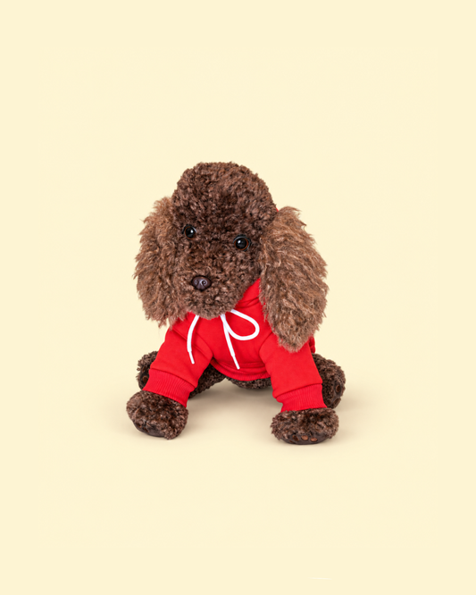 Everyday Adventure Red Hoodie