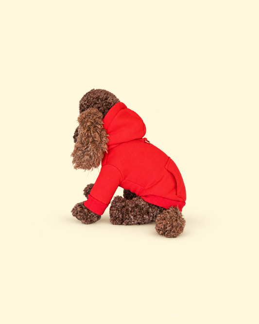 Everyday Adventure Red Hoodie